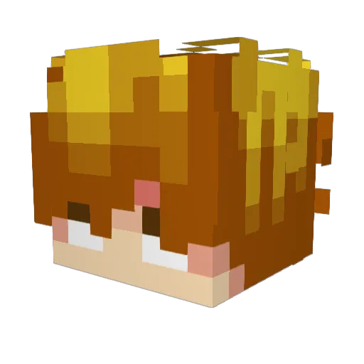 mecoao Minecraft avatar head, 3D render
