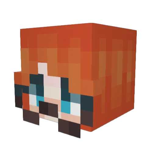 medbays Minecraft avatar head, 3D render