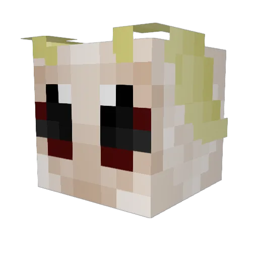 meddlingmoth Minecraft avatar head, 3D render