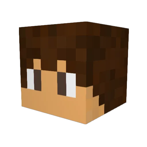 mede9585 Minecraft avatar head, 3D render