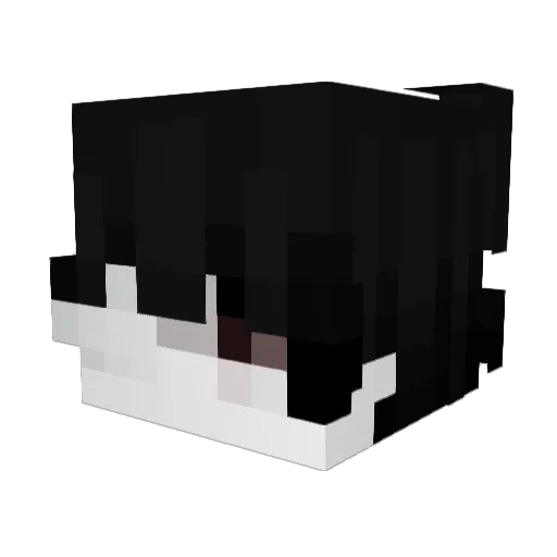 medelIin Minecraft avatar head, 3D render
