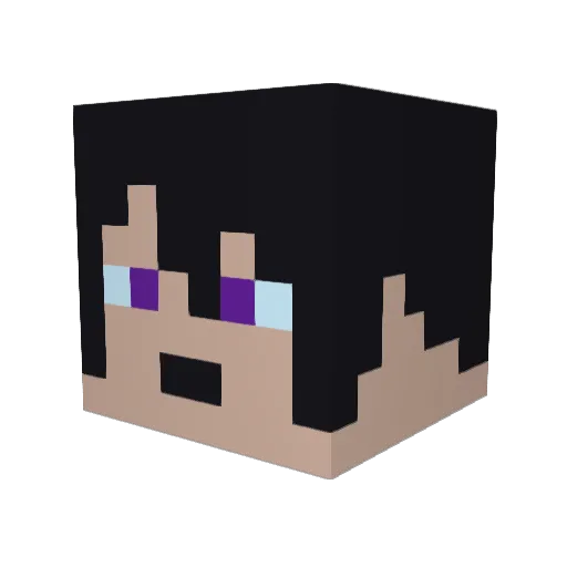 medemedka11 Minecraft avatar head, 3D render