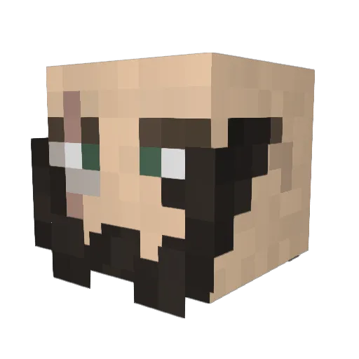medevilmat Minecraft avatar head, 3D render