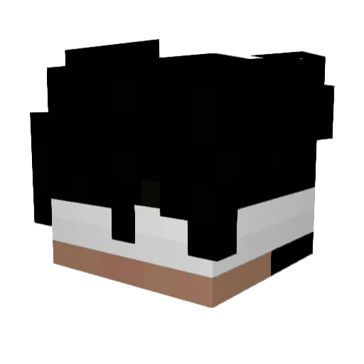 mediacrimer Minecraft avatar head, 3D render