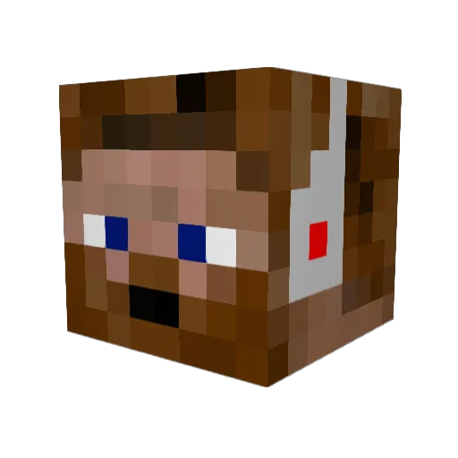 mediaed24 Minecraft avatar head, 3D render