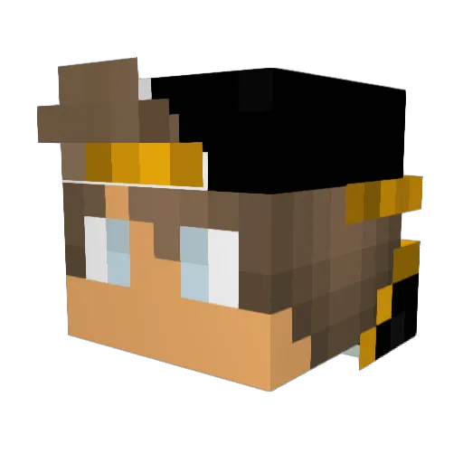medicine_ed Minecraft avatar head, 3D render