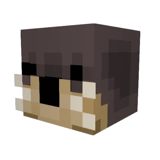 mediocracy_ Minecraft avatar head, 3D render