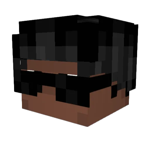 medistate Minecraft avatar head, 3D render