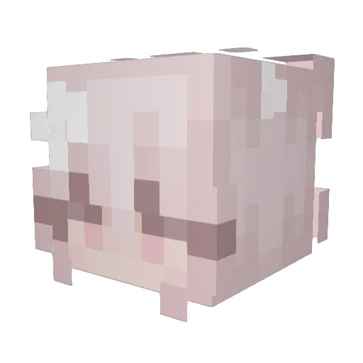 mediumrarebreadd Minecraft avatar head, 3D render