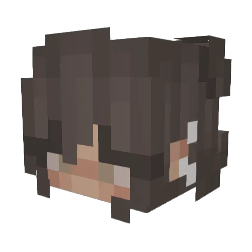 medixd Minecraft avatar head, 3D render