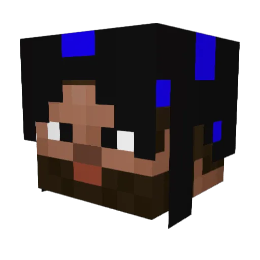 medrad0 Minecraft avatar head, 3D render