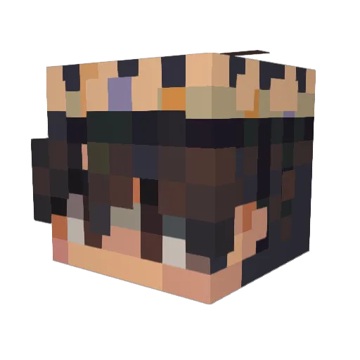 meebees0189 Minecraft avatar head, 3D render