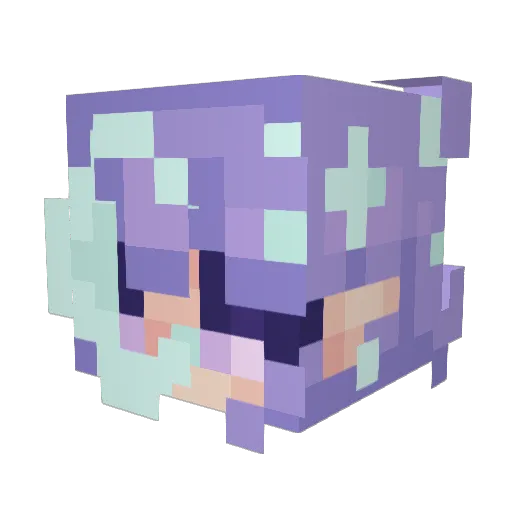 meedoka Minecraft avatar head, 3D render