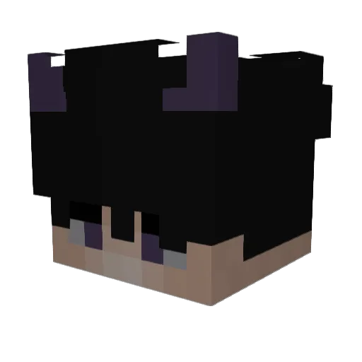 meeeejp Minecraft avatar head, 3D render