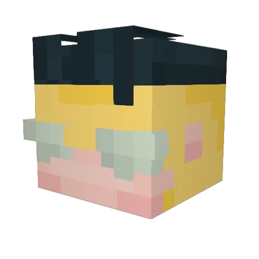 meeeowwww Minecraft avatar head, 3D render