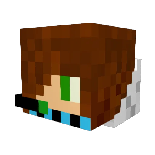 meeeseew Minecraft avatar head, 3D render