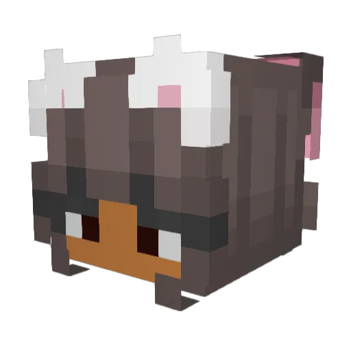 meeks777 Minecraft avatar head, 3D render