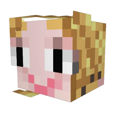 meemeedog Minecraft avatar head, 3D render