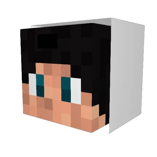 meemhecc Minecraft avatar head, 3D render