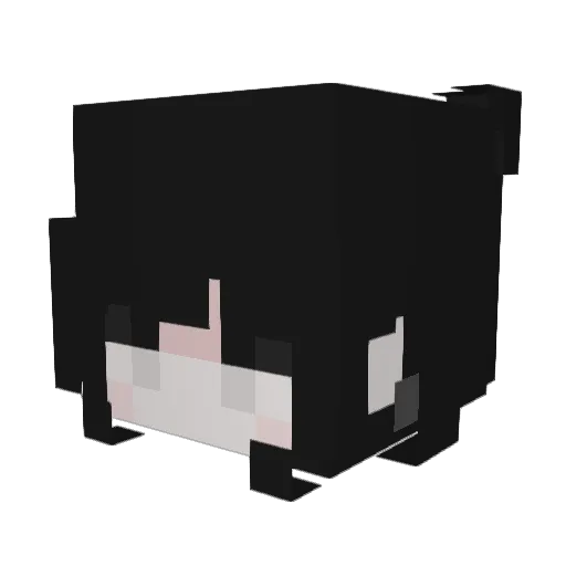 meeowfartlord Minecraft avatar head, 3D render
