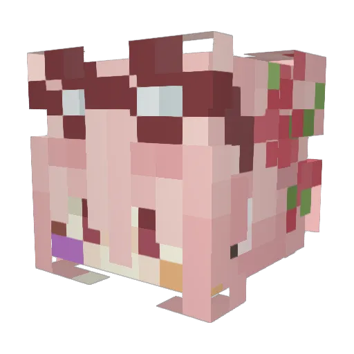 meeowiee Minecraft avatar head, 3D render