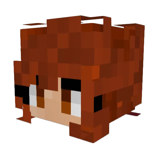 meepaa14 Minecraft avatar head, 3D render