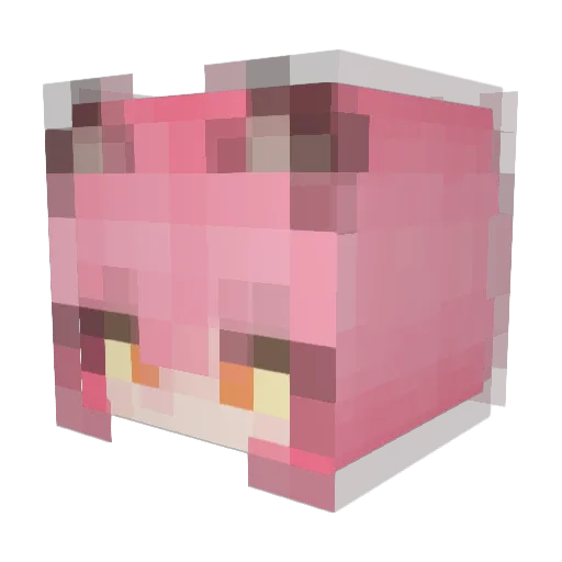 meepamoop Minecraft avatar head, 3D render