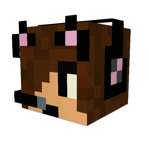 meeple4 Minecraft avatar head, 3D render