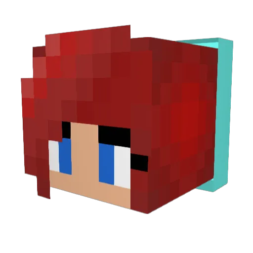 meeps2765 Minecraft avatar head, 3D render