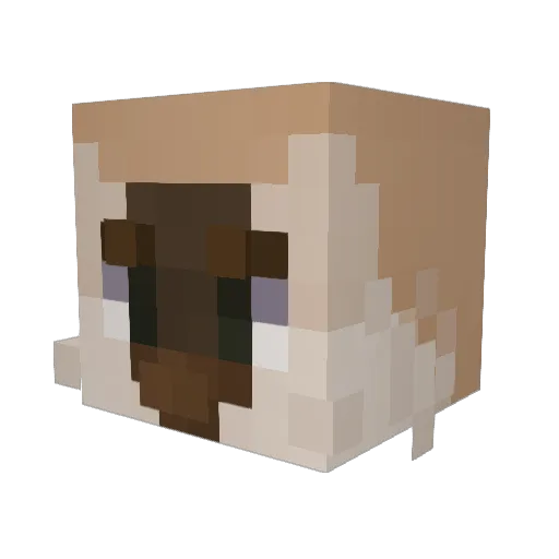 meepynoodles_ Minecraft avatar head, 3D render