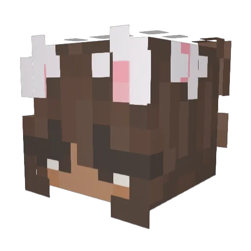 meeraxoxo Minecraft avatar head, 3D render