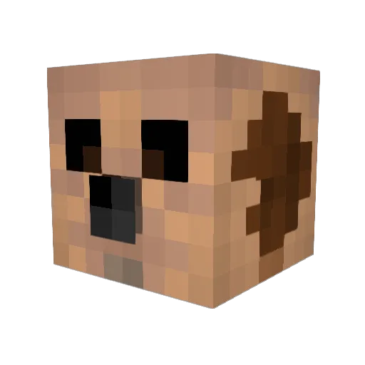 meercat537 Minecraft avatar head, 3D render