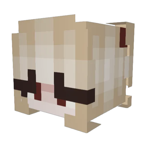 meerilu Minecraft avatar head, 3D render