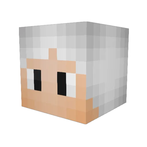 meerkatsrdumb Minecraft avatar head, 3D render