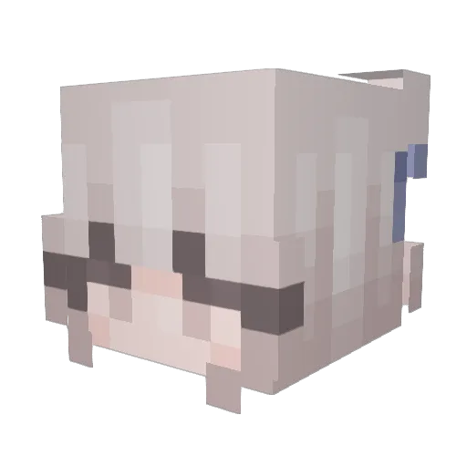 meerlyvs Minecraft avatar head, 3D render