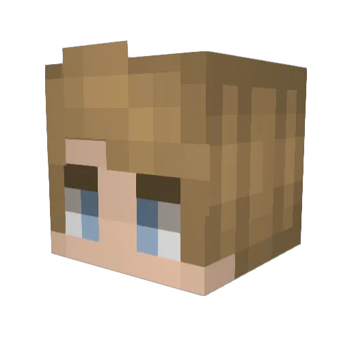 meerofminder_ Minecraft avatar head, 3D render