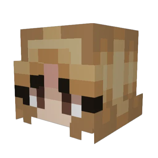 meers89 Minecraft avatar head, 3D render