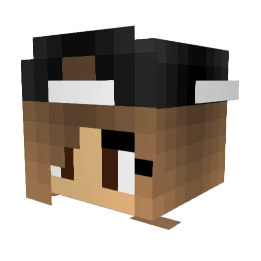 meertjeeeee Minecraft avatar head, 3D render