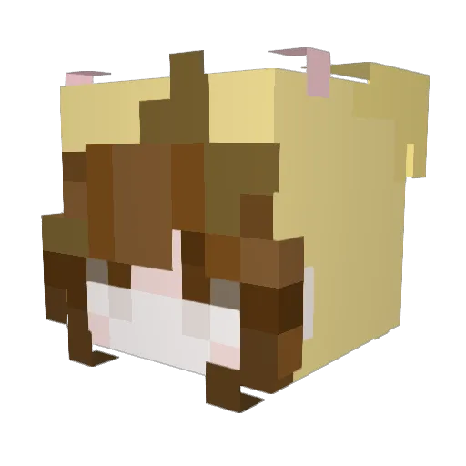 meerycm Minecraft avatar head, 3D render