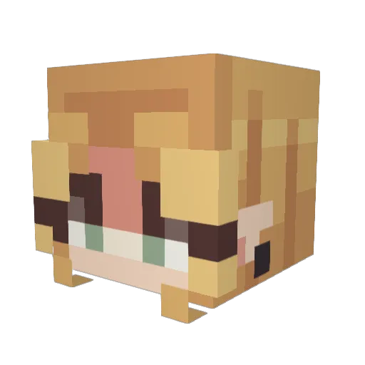 meeshmoore Minecraft avatar head, 3D render