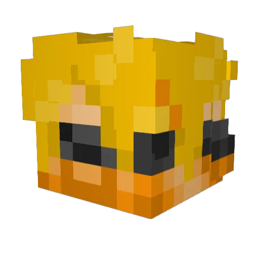 meesterfarkaboy Minecraft avatar head, 3D render