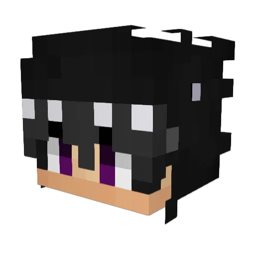 meetUdecember Minecraft avatar head, 3D render