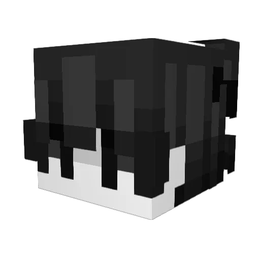 meetbytheriver Minecraft avatar head, 3D render