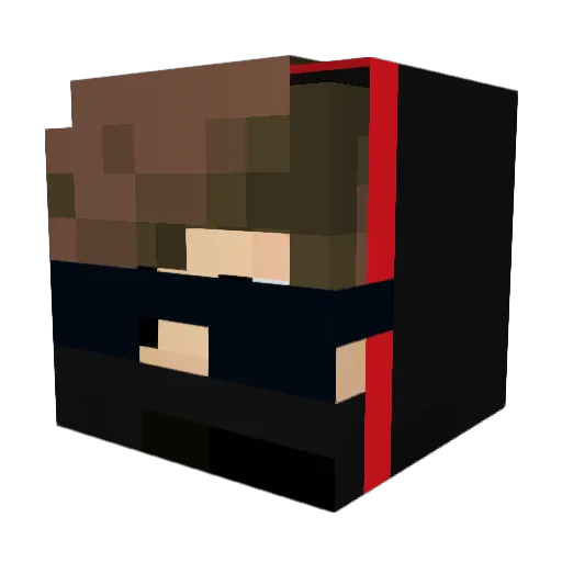 meetking114 Minecraft avatar head, 3D render