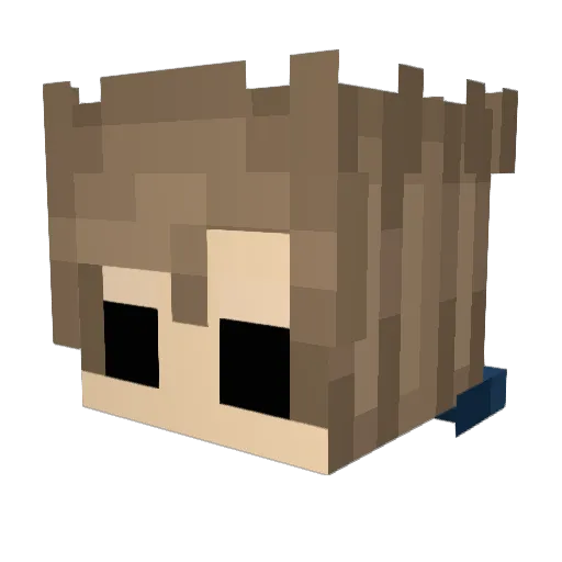meetochindie Minecraft avatar head, 3D render