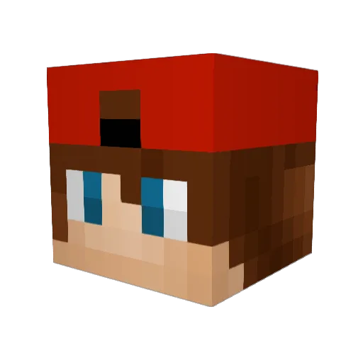 meeuwenspotter Minecraft avatar head, 3D render