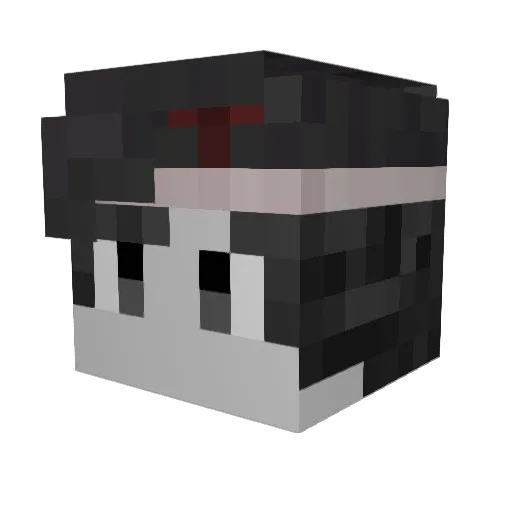meg1337 Minecraft avatar head, 3D render