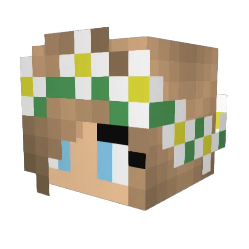 meg7441 Minecraft avatar head, 3D render