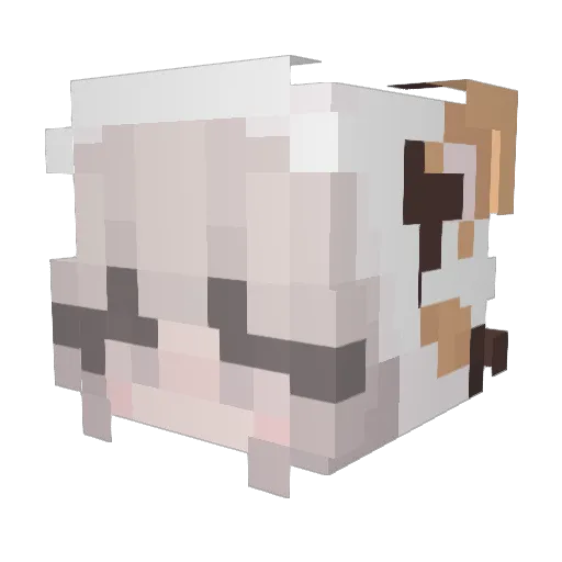 meg_1109 Minecraft avatar head, 3D render