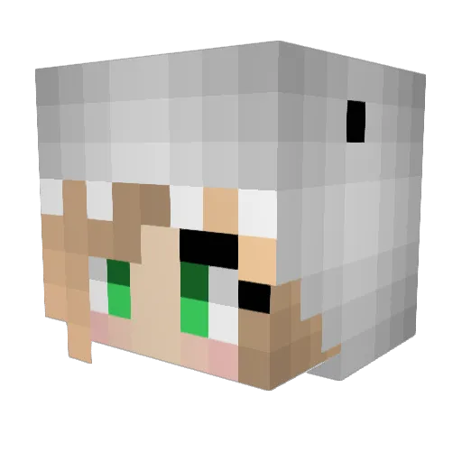 mega_raquazx Minecraft avatar head, 3D render